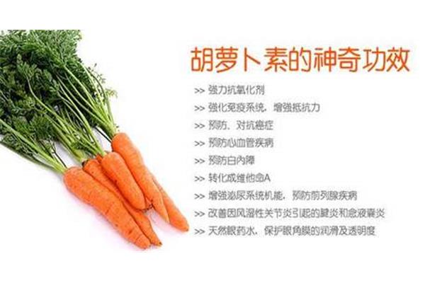 萝卜作用与功效
