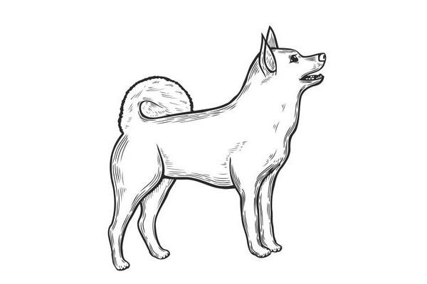 素描图片大全大图