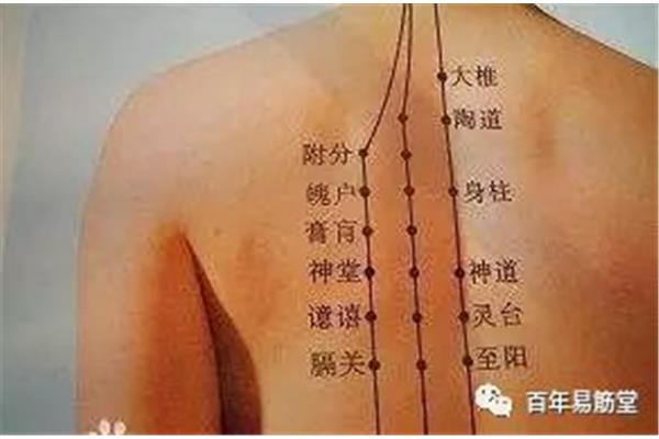 脖子可以刮痧吗