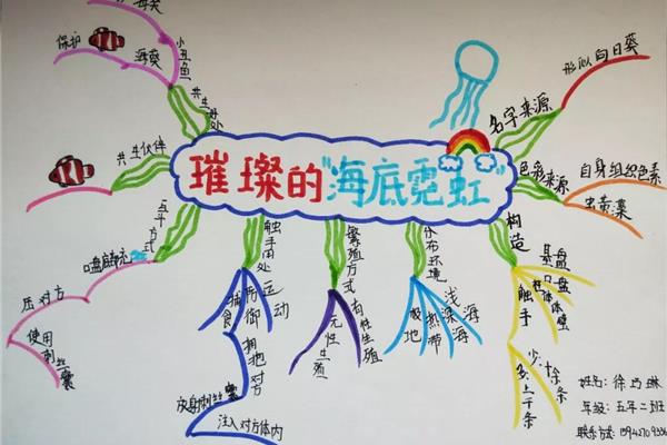 思维导图简单画法
