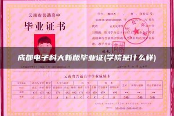 成教是什么