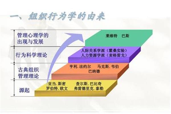 学习与发展