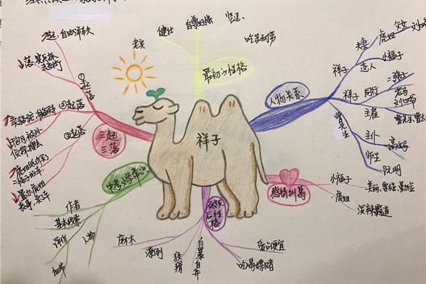 思维导图简单画法