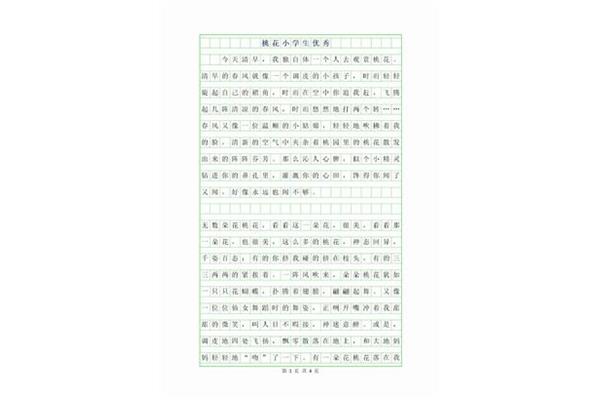 不一样的美作文