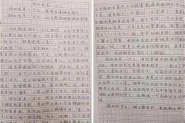 不一样的美作文