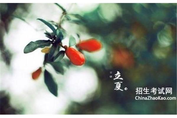 描写立夏的诗