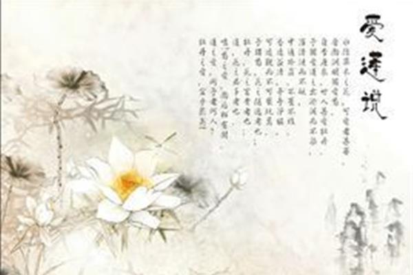 跟花有关的诗句