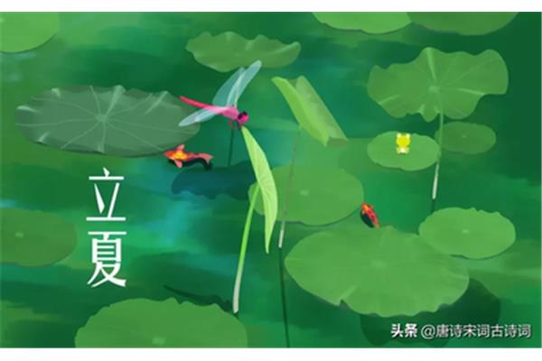 描写立夏的诗