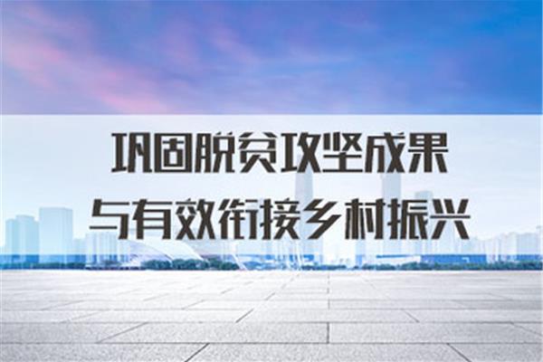 巩固脱贫攻坚成果