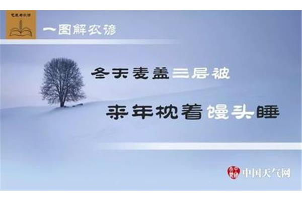 来年枕着馒头睡