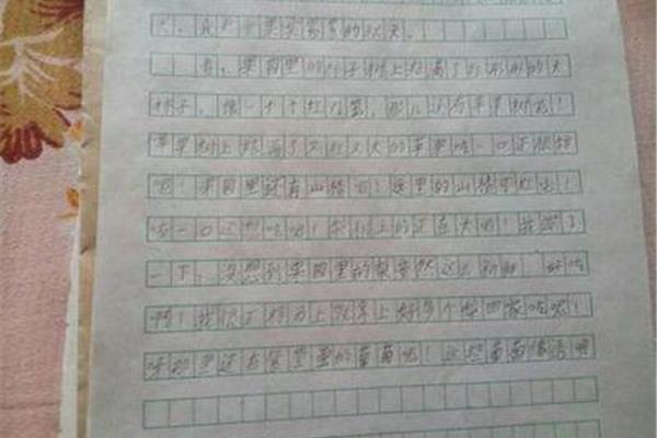 不一样的美作文