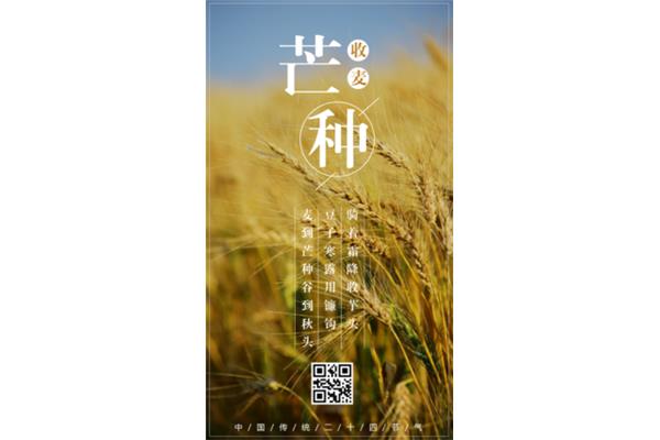 这也是一种收获
