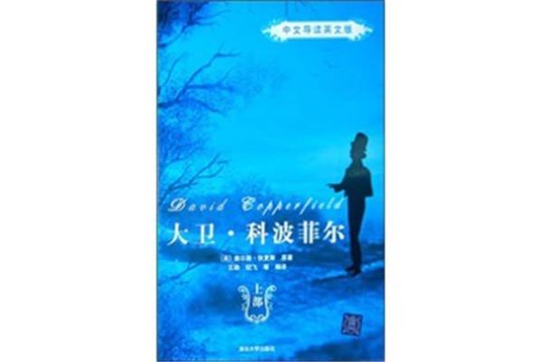 大卫科波菲尔简介