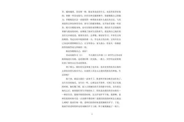 实践的作文