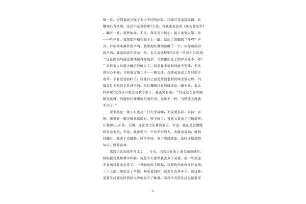 实践的作文