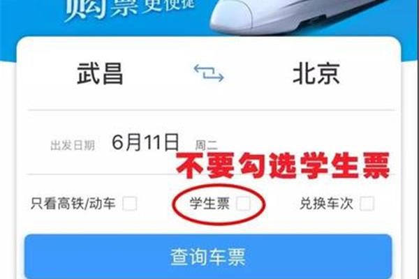 动车票查询