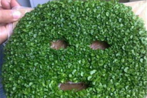 海藻面膜敷多久