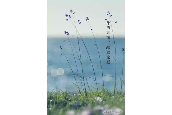 描写立夏的诗