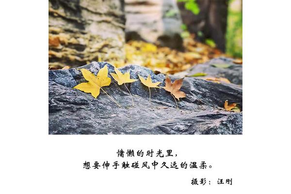 一起走过的时光