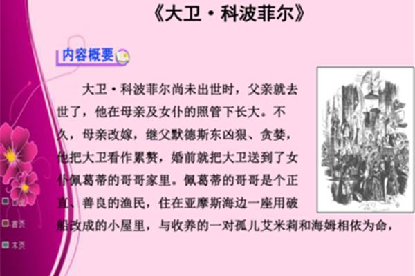 大卫科波菲尔简介