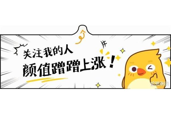每天都是精彩