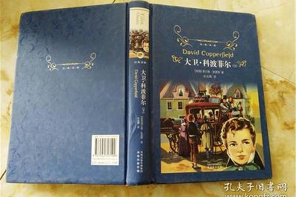 大卫科波菲尔简介
