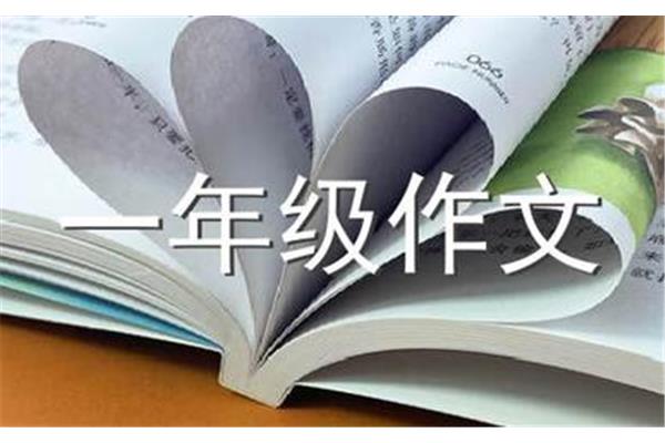 这也是一种收获