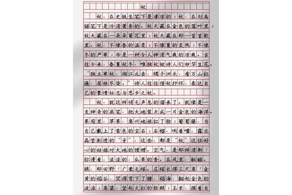 不一样的美作文