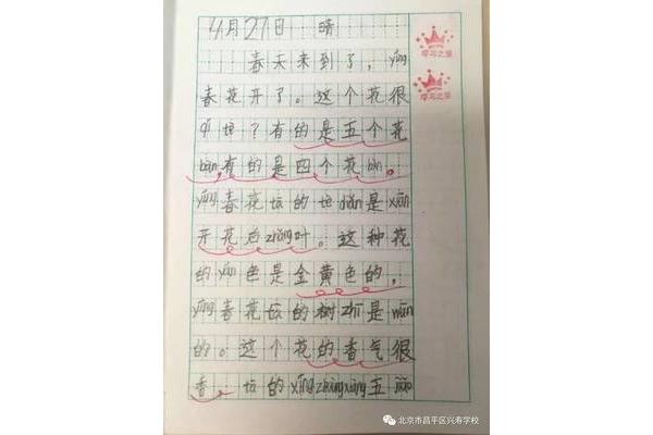 实践的作文