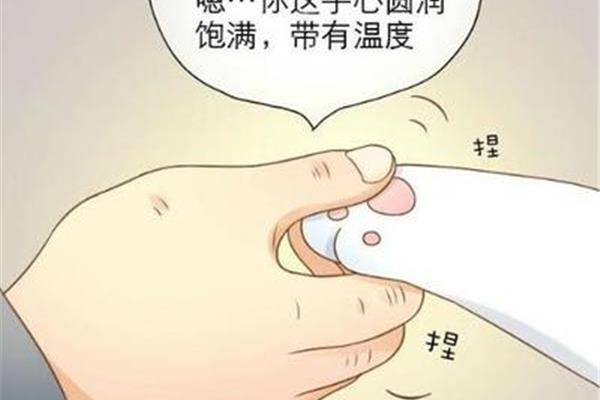 掌心的温度