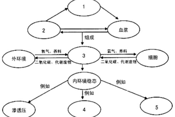 内环境作用