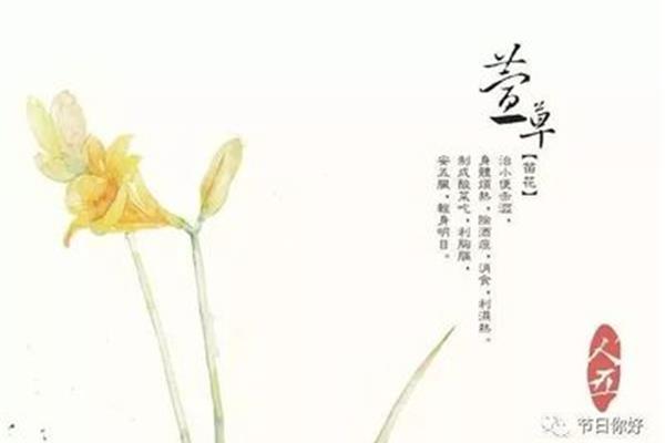 跟花有关的诗句