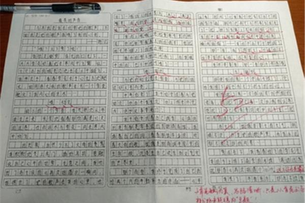 不一样的美作文