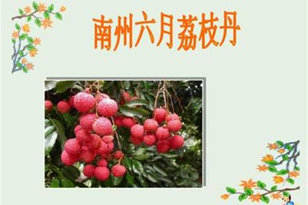 南州六月荔枝丹