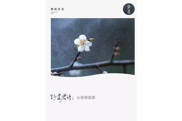 心安即是家
