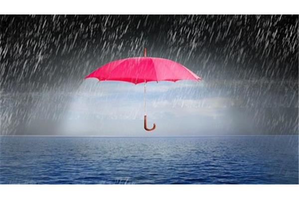 大雨的成语