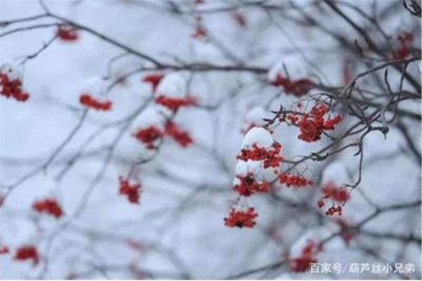 代表冬天的词语