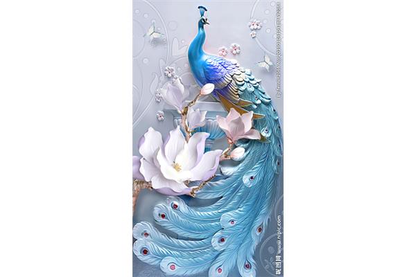 孔雀图片绘画