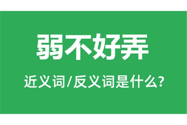 弱的近义词