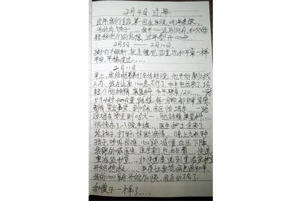 二年级过年日记