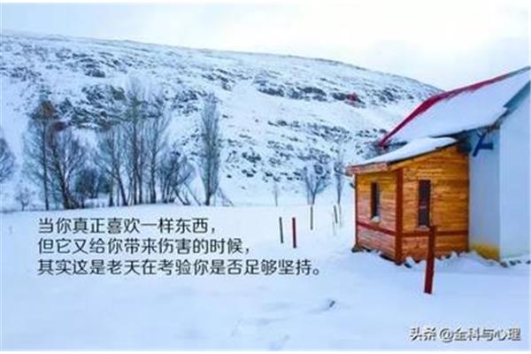 人生百味经典句子