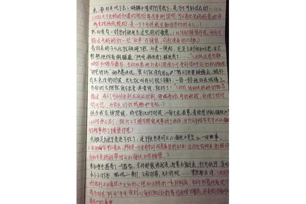 摘抄作文600字