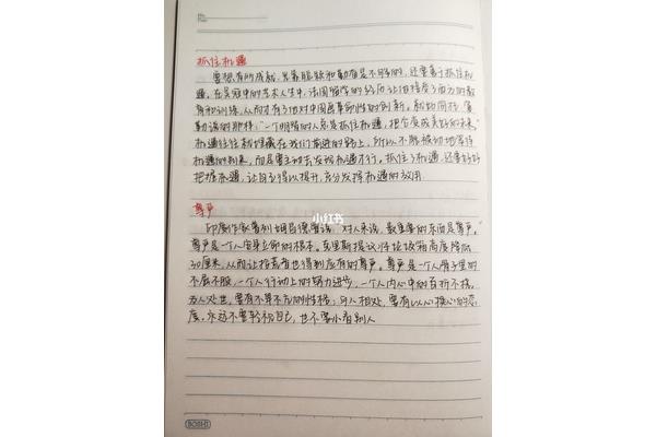摘抄作文600字