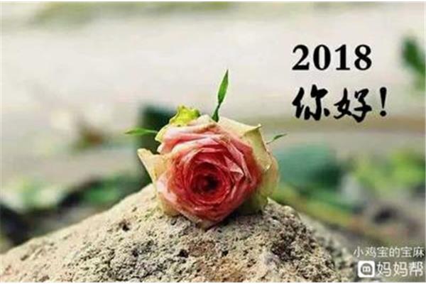新年早上好
