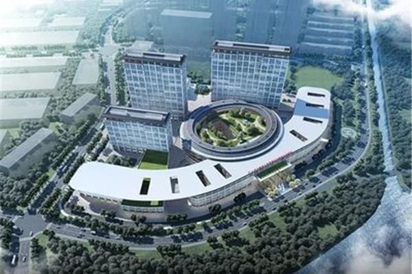 国家区域医疗中心