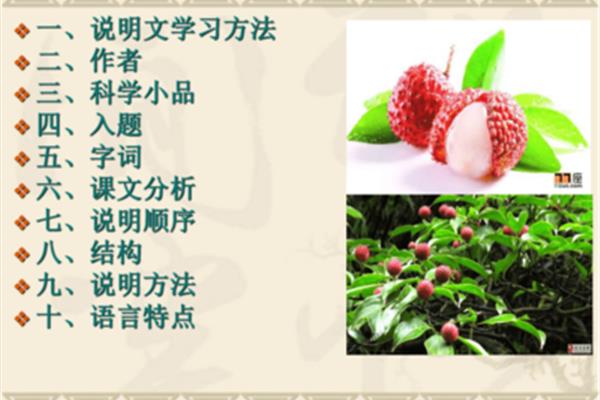 南州六月荔枝丹
