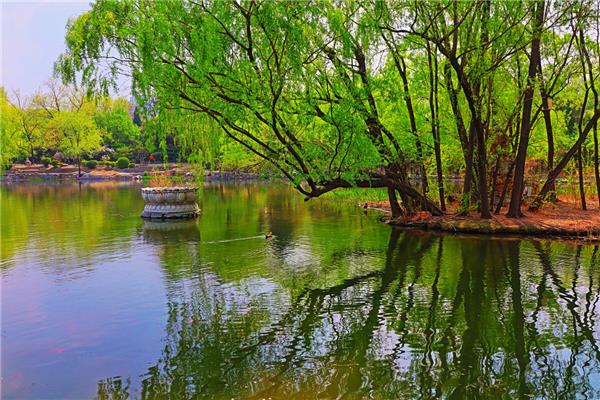 北京紫竹院公园
