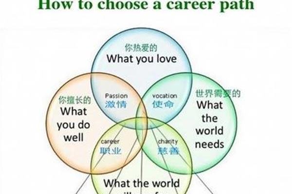 什么样的选择
