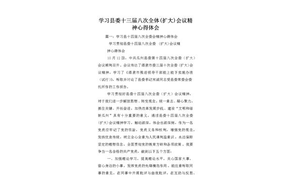 会议精神心得体会