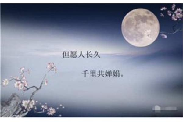 关于文学的诗句